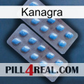 Kanagra viagra4